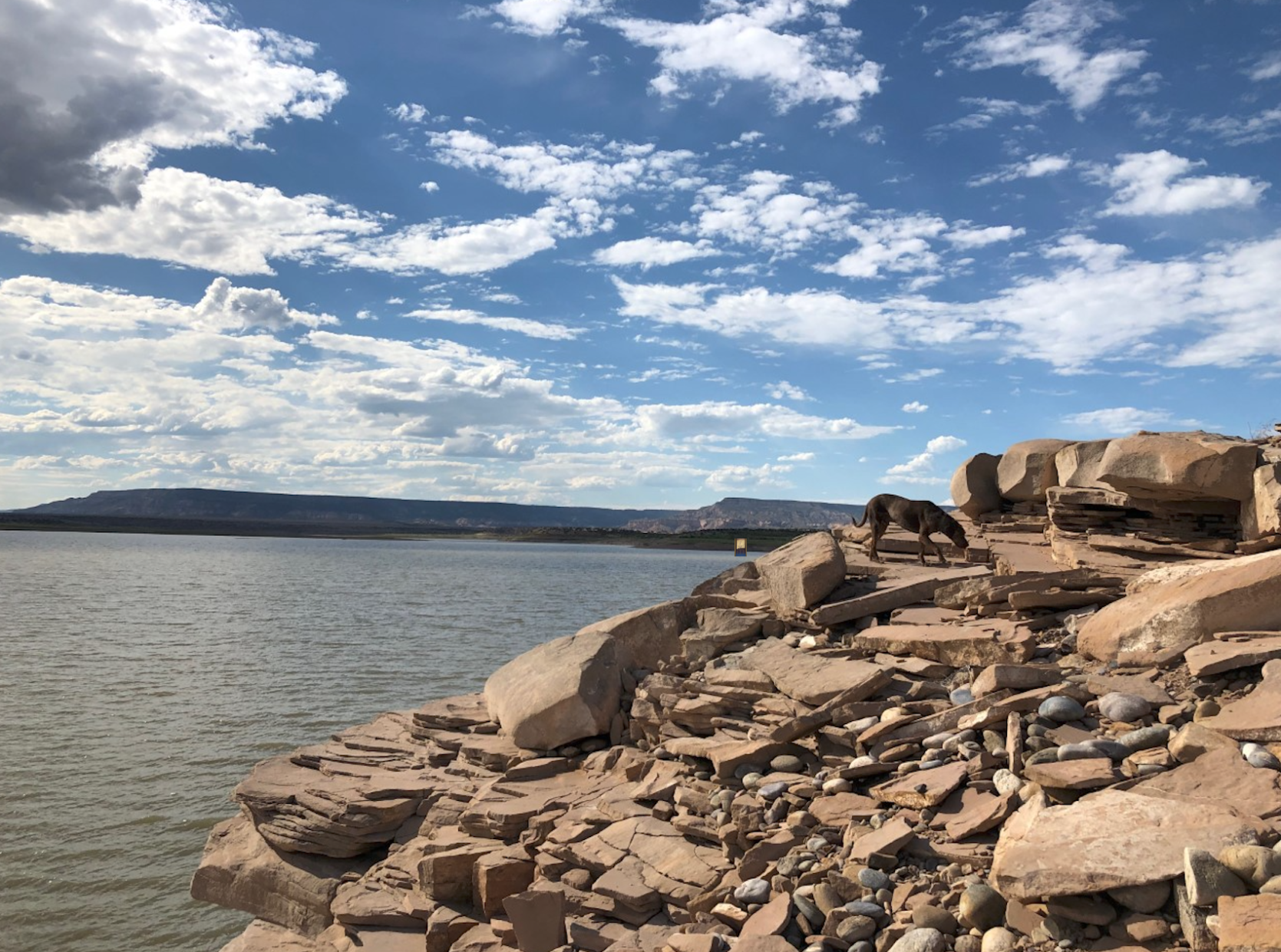 lake2.jpg